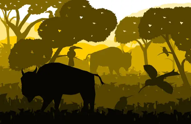 Vector illustration of low poly asian nature vector,cow on the grass field with hornbill and bird,silhouette style,panorama view