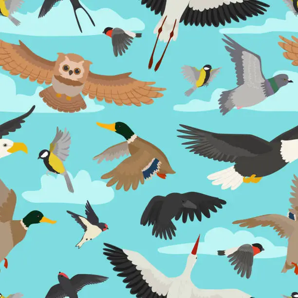 Vector illustration of Bird vector cartoon flying birdie owl dove and duck with feather wings illustration set bullfinch stork or swallow for birdfancier seamless pattern background