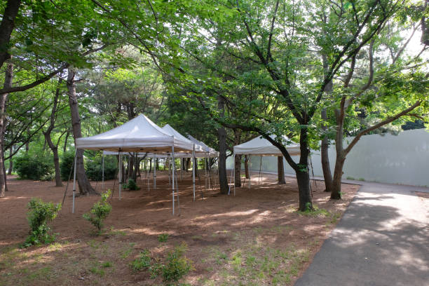 istock Park in Japan 958316572