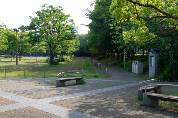 istock Park in Japan 958316648