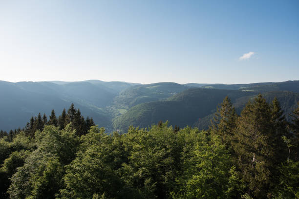 istock Natue landscape germany, black forest 958318190