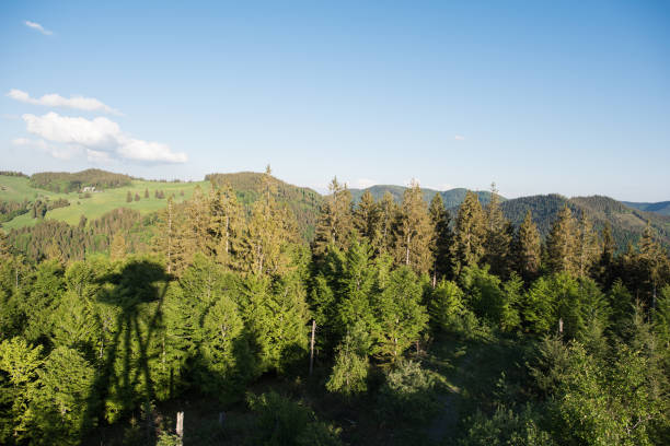 istock Natue landscape germany, black forest 958318228