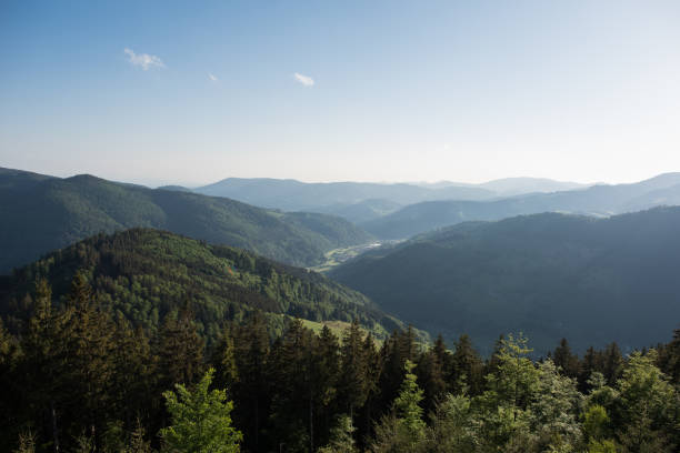 natue landscape germany, black forest - black forest forest sky blue imagens e fotografias de stock