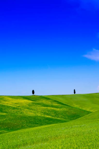 istock View of the Valley Orcia 958321054