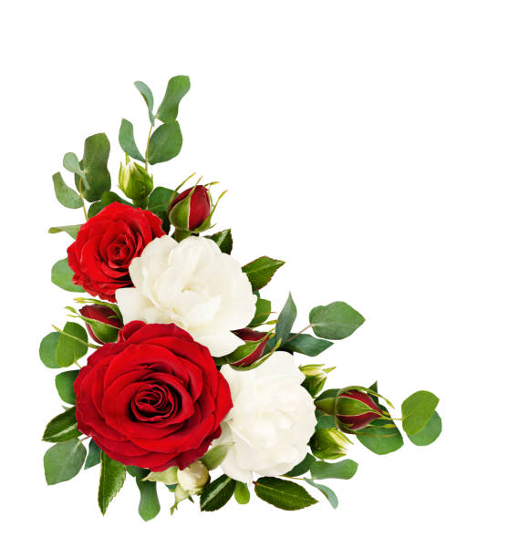 istock Red and white rose flowers with eucalyptus leaves in a corner arrangement 958321436