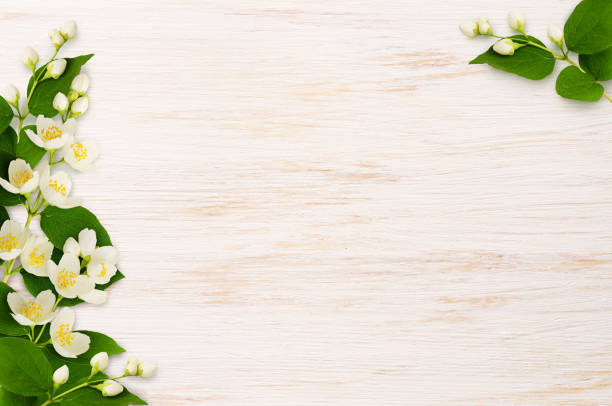 istock Corner compositions with jasmine flowers on wood 958321440