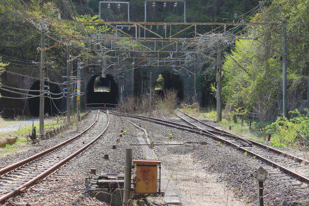 istock Railroad tracks and tunnels 958321448