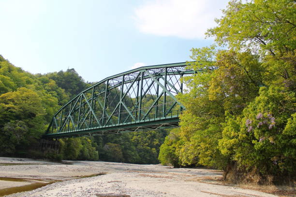 istock Bridge of the railroad 958321494