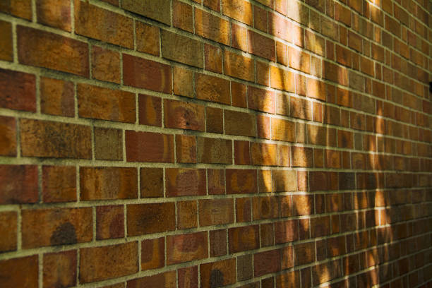 istock Shade of trees on the brick fence 958322542