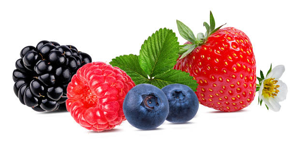 istock Berries collection. Raspberry, strawberry,blueberry, blackberry  isolated 958325522