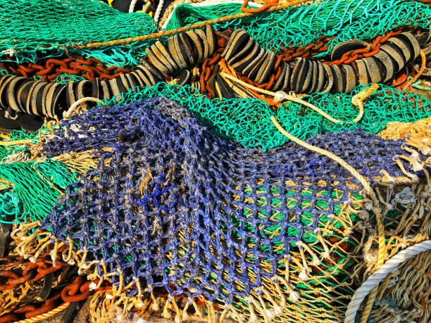istock Colorful commercial fishing net 958325558