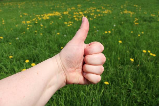 istock thumb up in the garden 958325702