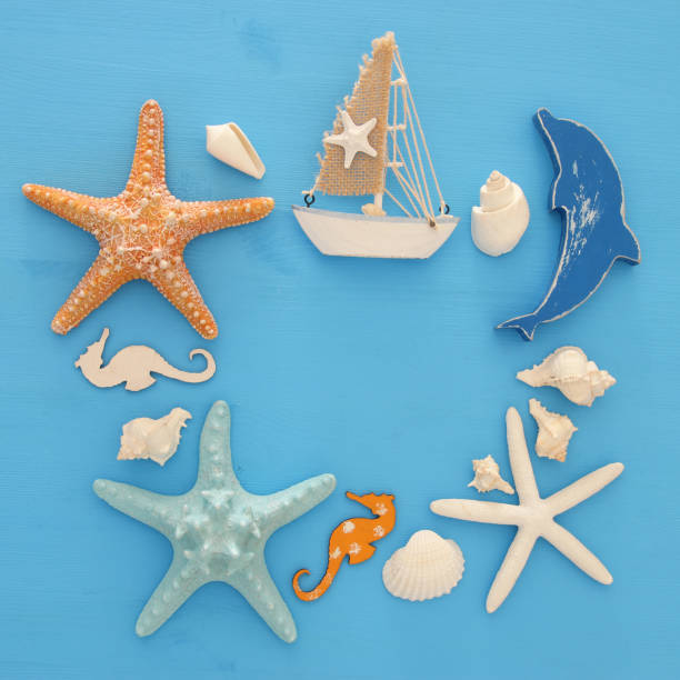 istock nautical and summer holidays concept with sea life style objects, seashells and starfish over blue wooden background. 958330370