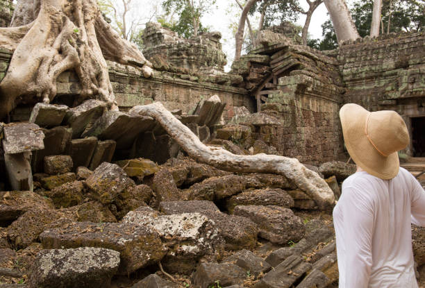 A beautiful view of Ta Prohm Tomb Raider Temple in Siem Reap, Cambodia