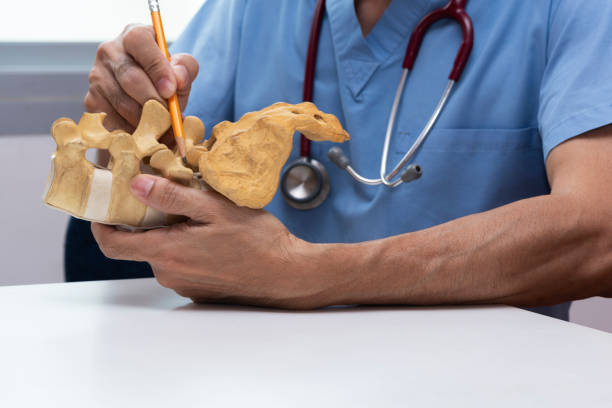 istock Doctor demonstrating lumbar spine model 958346552