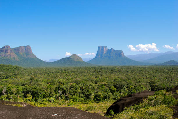 istock Cerro Autana and Cerro Cara de Indio 958364382