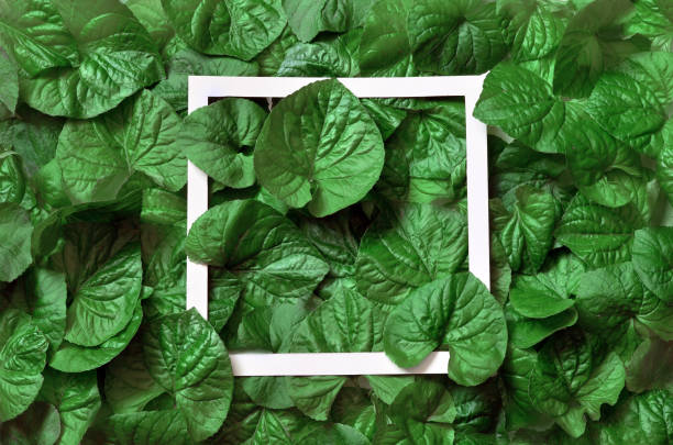 istock Creative layout made of leaves with paper frame. Flat lay. Nature concept 958371370