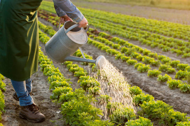 trabajar en el huerto - watering place fotografías e imágenes de stock