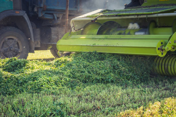 istock process of selection of green forage harvester 958374768