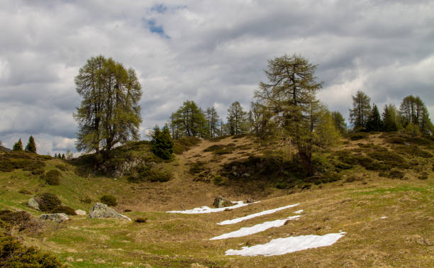 валь сесвенна, s-charl, швейцария - mountain switzerland scuol mountain peak стоковые фото и изображения