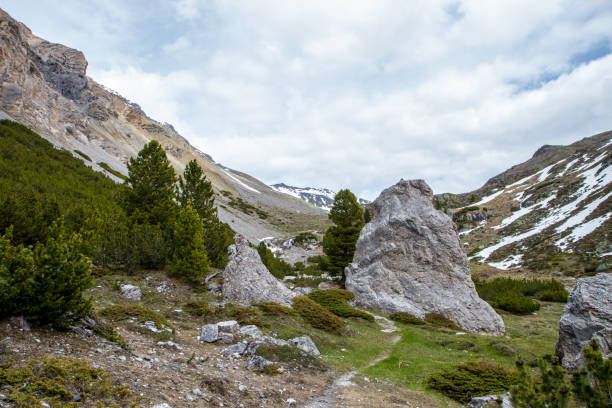 валь сесвенна, s-charl, швейцария - mountain switzerland scuol mountain peak стоковые фото и изображения