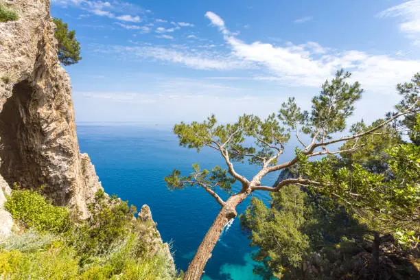 Photo of Capri, Italy. Capri Island in a beautiful summer day, with faraglioni rocks and natural stone arch. Beautiful blue water bay, seen by below the natural Arc.