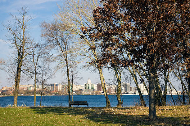 istock Downtown Madison seen from the park 95838565