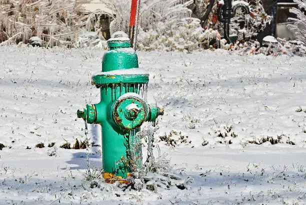 Photo of Green Fire Hydrant
