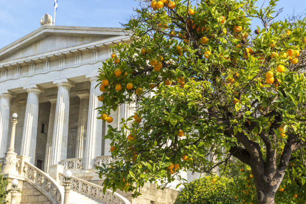 istock National Library of Greece 958392228
