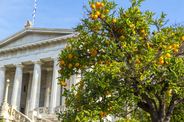 istock National Library of Greece 958392246
