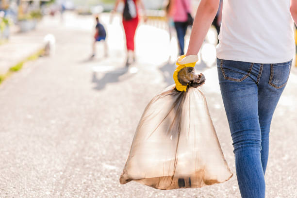 istock Rear view of Environmental activist collecting plastic garbage in nature 958393524