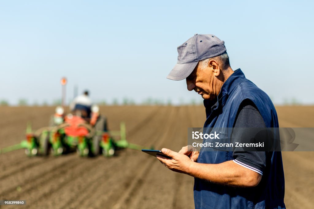 Agriculteur senior en champ examinant semis et tenant comprimé dans ses mains. - Photo de Agriculteur libre de droits