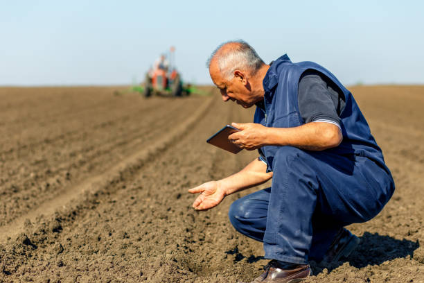 istock Senior farmer in field examining sowing and holding tablet in his hands. 958400152