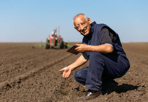 istock Senior farmer in field examining sowing and holding tablet in his hands. 958400502