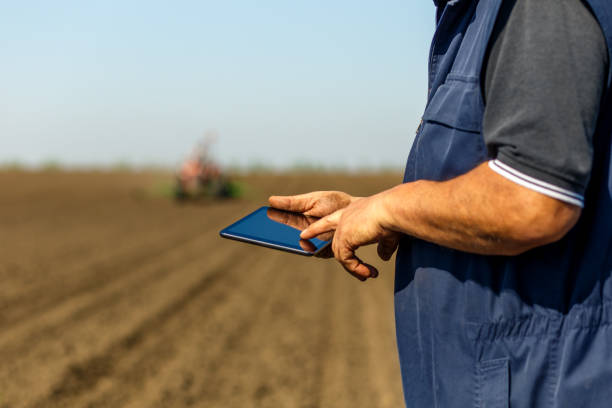 istock Senior farmer in field examining sowing and holding tablet in his hands. 958400722