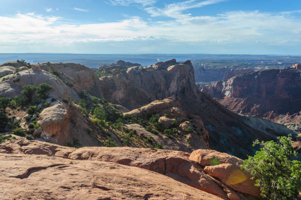 istock Canyonlands National Park 958400850