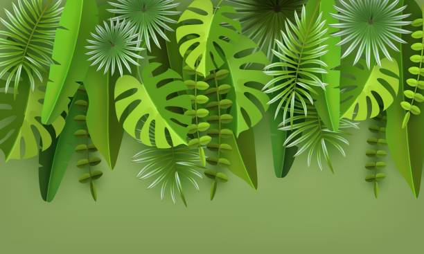 istock Tropical leaves and plants. Green abstract background with tropical foliage. Cut paper. Vector illustration 958403926