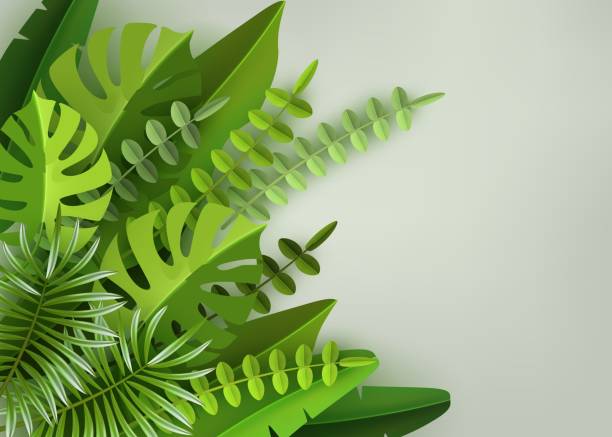 istock Tropical leaves and plants. Green abstract background with tropical foliage. Vector illustration 958403932