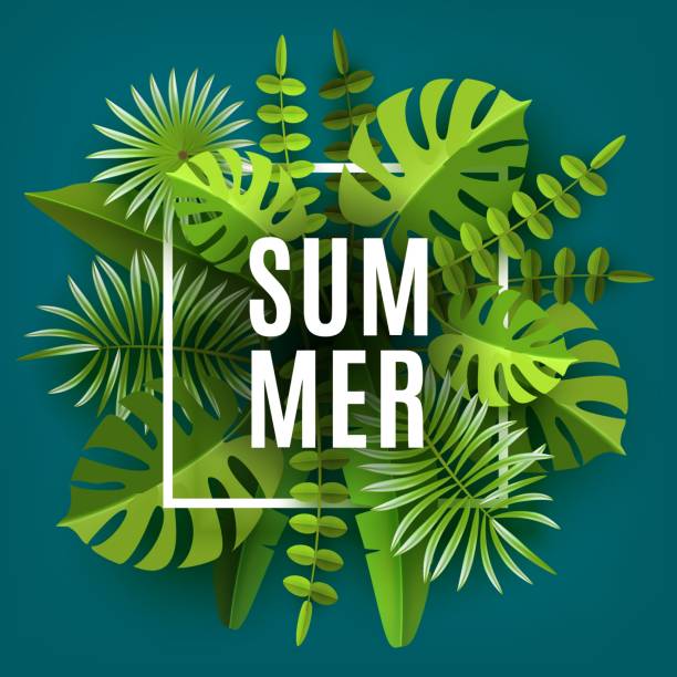 istock Trendy Summer Tropical Leaves and Plants. Green abstract background. Cut paper. Vector Design 958403940