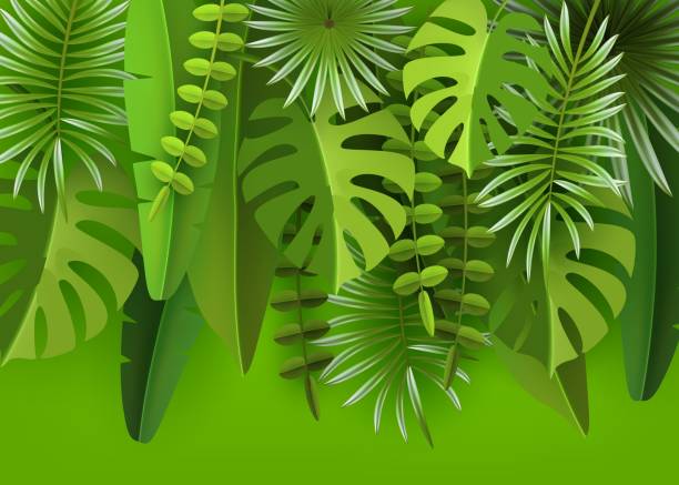 istock Tropical leaves and plants. Green abstract background with tropical foliage. Cut paper. Vector illustration 958403972