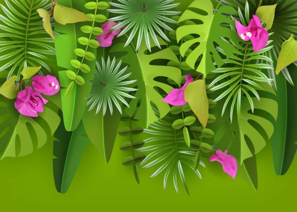 Tropical leaves, flowers and plants. Green abstract background with tropical foliage and flowers bougainvillea. Cut paper. Vector illustration Tropical leaves, flowers and plants. Green abstract background with tropical foliage and flowers bougainvillea. A volumetric image.Cut paper. Vector illustration jungle leaf pattern stock illustrations