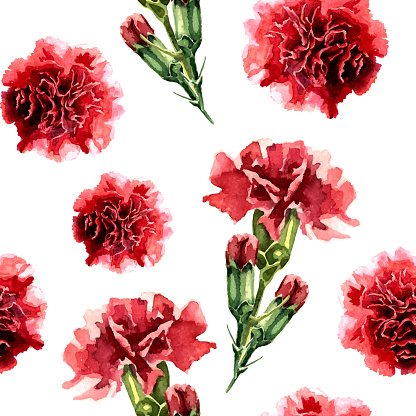 Seamless pattern with watercolor carnation flowers. Floral background, wallpaper. Elegance pattern with realistic red flowers. Vintage illustration