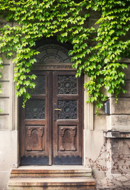 istock Old Wooden Door 958408426