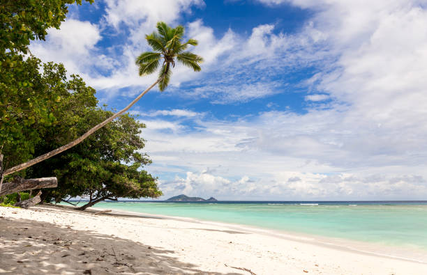 istock Idyllic scenery of sandy beach in the Seychelles 958410954