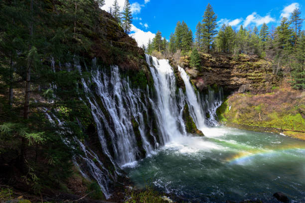 Burney Falls waterfall with Rainbownear Redding, in California Burney Falls waterfall near Redding, in California burney falls stock pictures, royalty-free photos & images