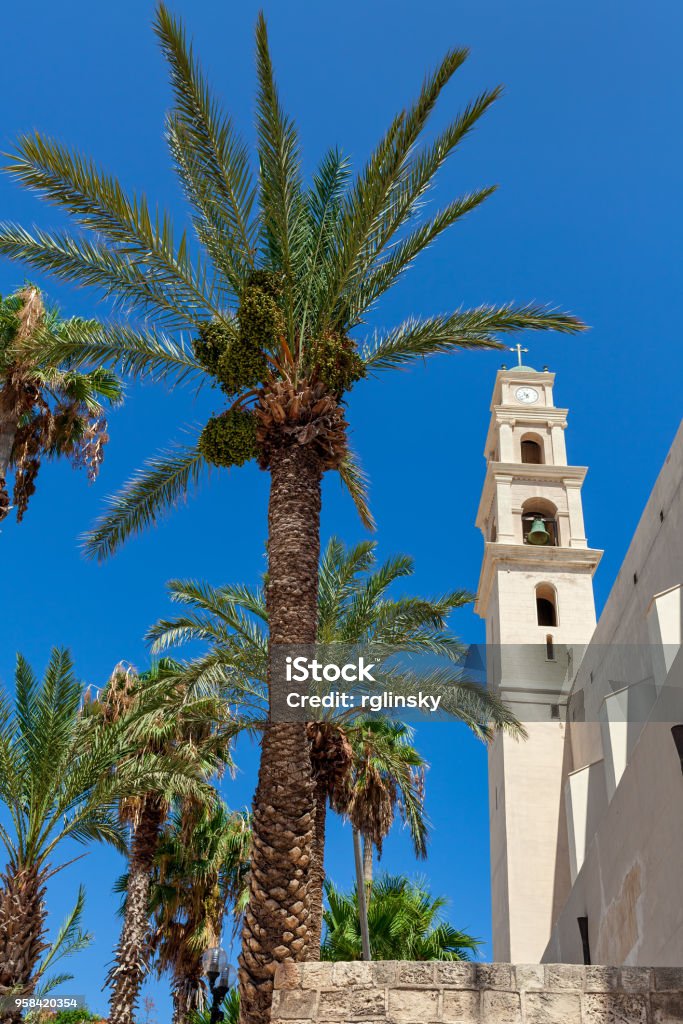 St. Peter's Church belfry in Jaffa, Israel. St. Peter's Church belfry as seen trough palms under blue sky in old Jaffa, Israel. Israel Stock Photo