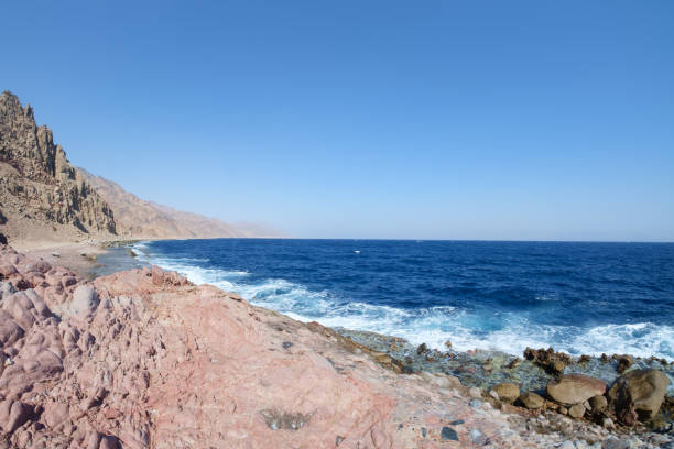 Camel track in Ras Abu Galum, Egypt, South Sinai