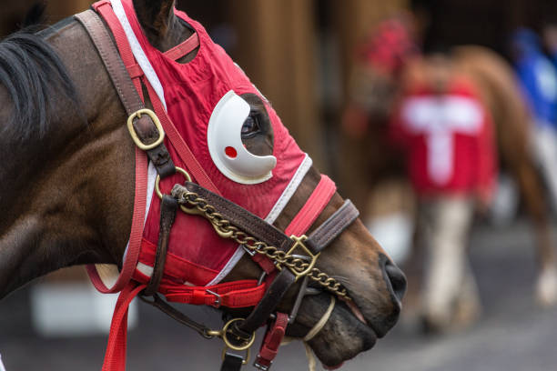 istock Horse in full red gear 958429896