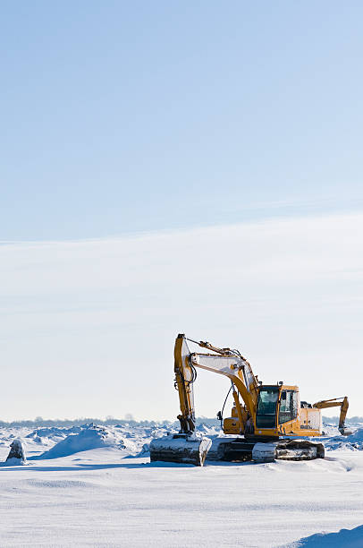 istock crane in the snow 95843303