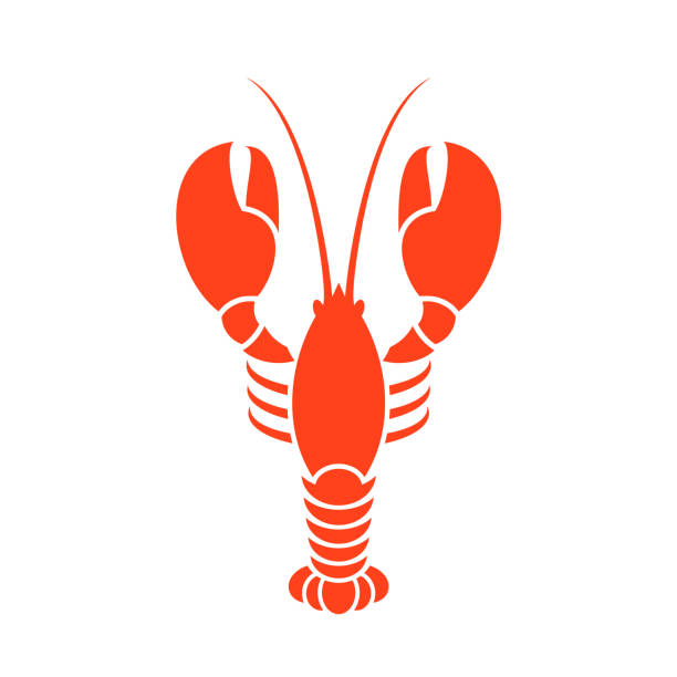 ilustraciones, imágenes clip art, dibujos animados e iconos de stock de langosta. ilustración de vector - lobster